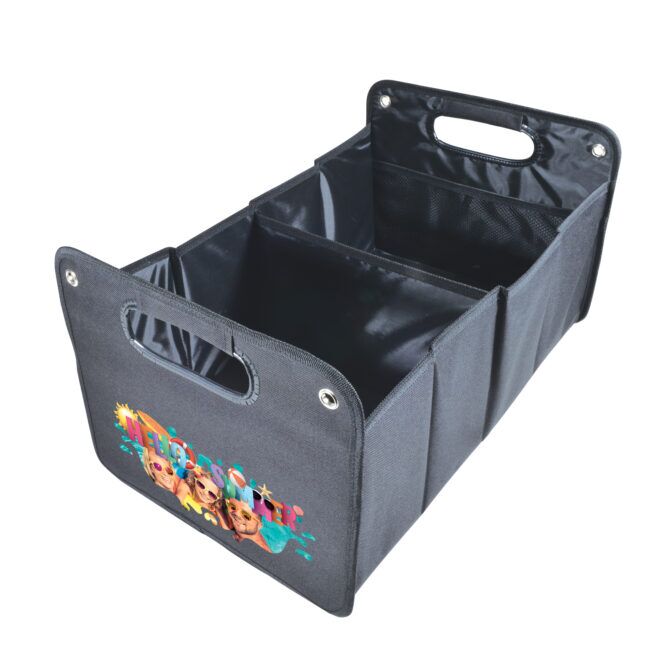 Cargo Storage Organiser