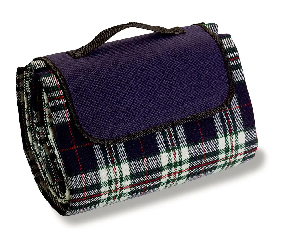 750_blue Picnic Rug