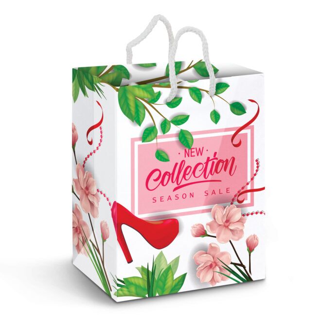 Large Laminated Paper Carry Bag – Full Colour