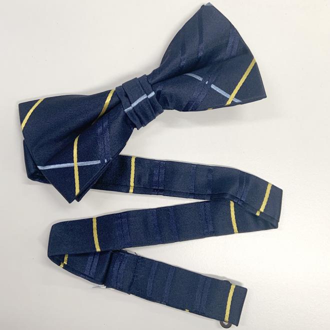 Silk Bow ties