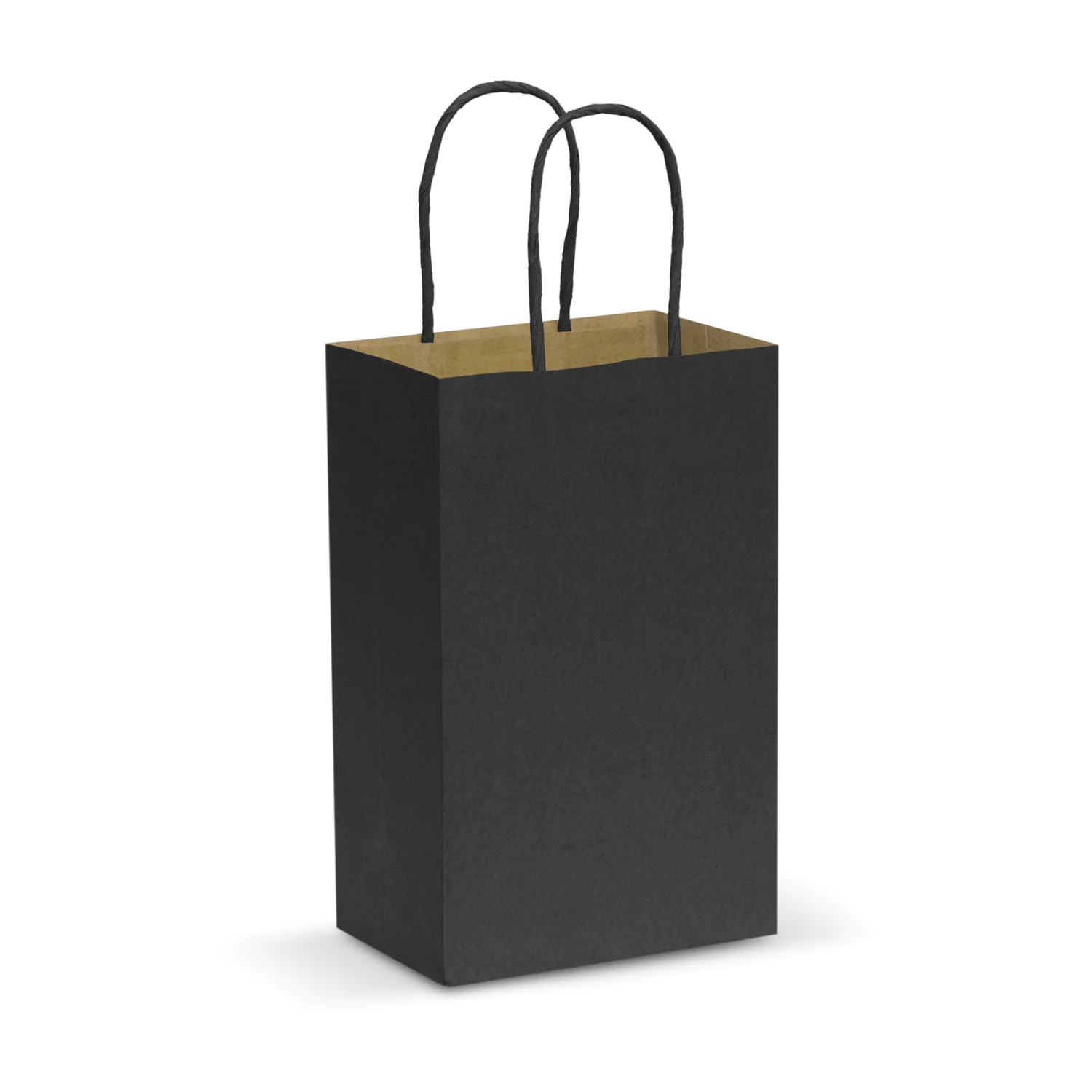 107582-3-1 Paper Carry Bag – Small