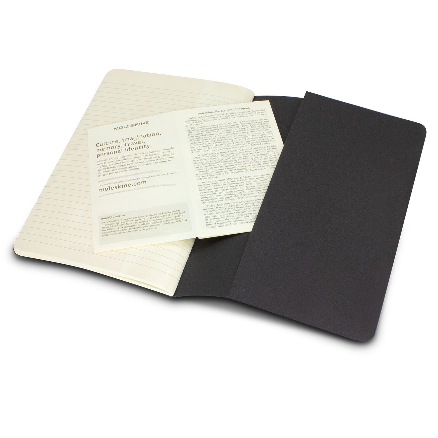 Moleskine Classic Cahier Journal