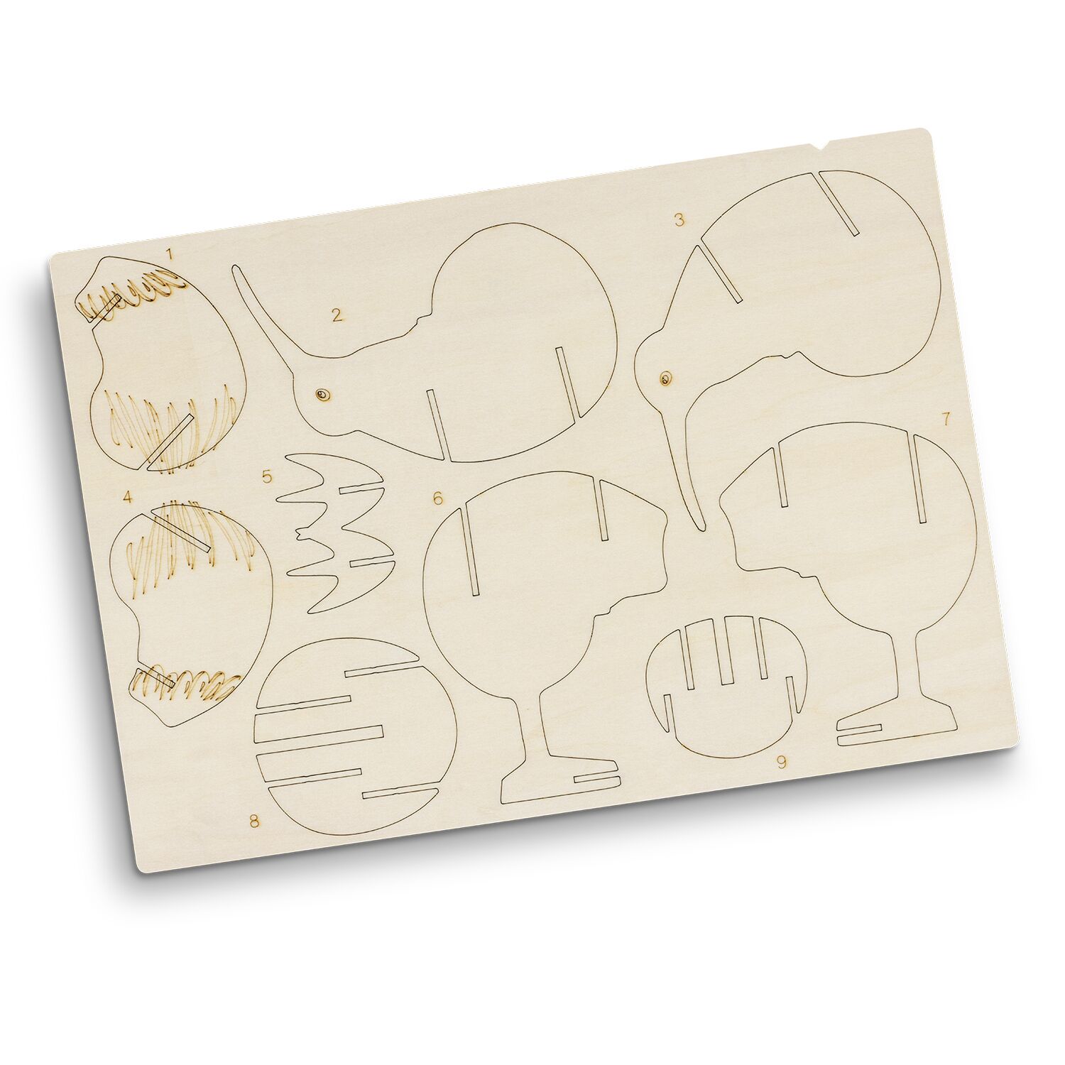 BRANDCRAFT Kiwi Wooden Model