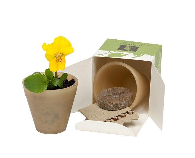 product_s_s_ss-seed-bio-pots_4_1.jpg Biopot
