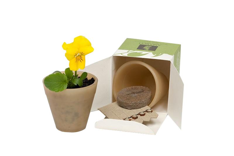 product_s_s_ss-seed-bio-pots_4_1.jpg Biopot