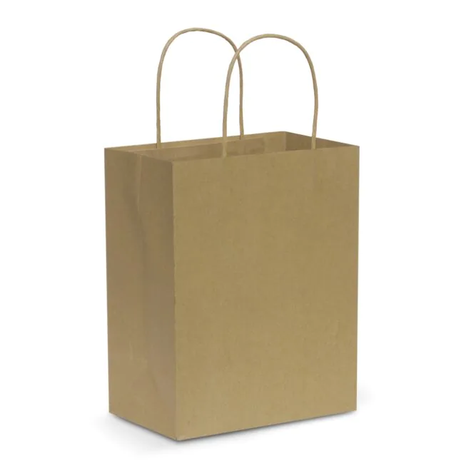 107586-1-1-660x660 Paper Carry Bag – Medium